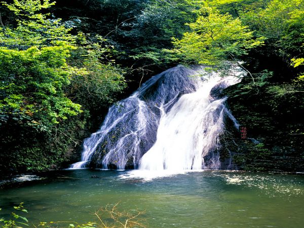 古東森林瀑布:位於大圩鎮古東村蝴蝶山麓——草坪公路8公里處,距桂林