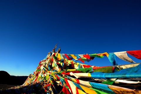 林芝 最后一片香格里拉 林芝四月桃花狂 赏花全攻略【西藏旅游攻略】